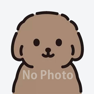 8月1日のわんこたちの写真