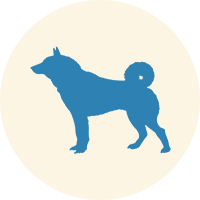 狂犬病 イメージイラスト