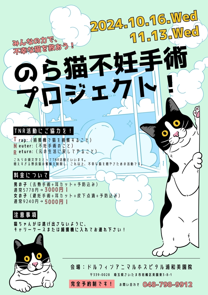 【 野良猫ちゃんの不妊手術 】にご協力をお願いします